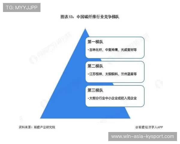 2026 年全球体育器材市场分析：碳纤维材质的全面降价。，体育器材生产厂家前十